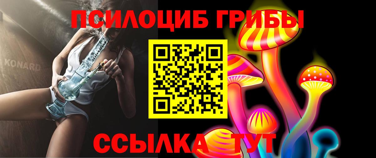 Галлюциногенные грибы GOLDEN TEACHER  Вход с VPN  Тулун 
